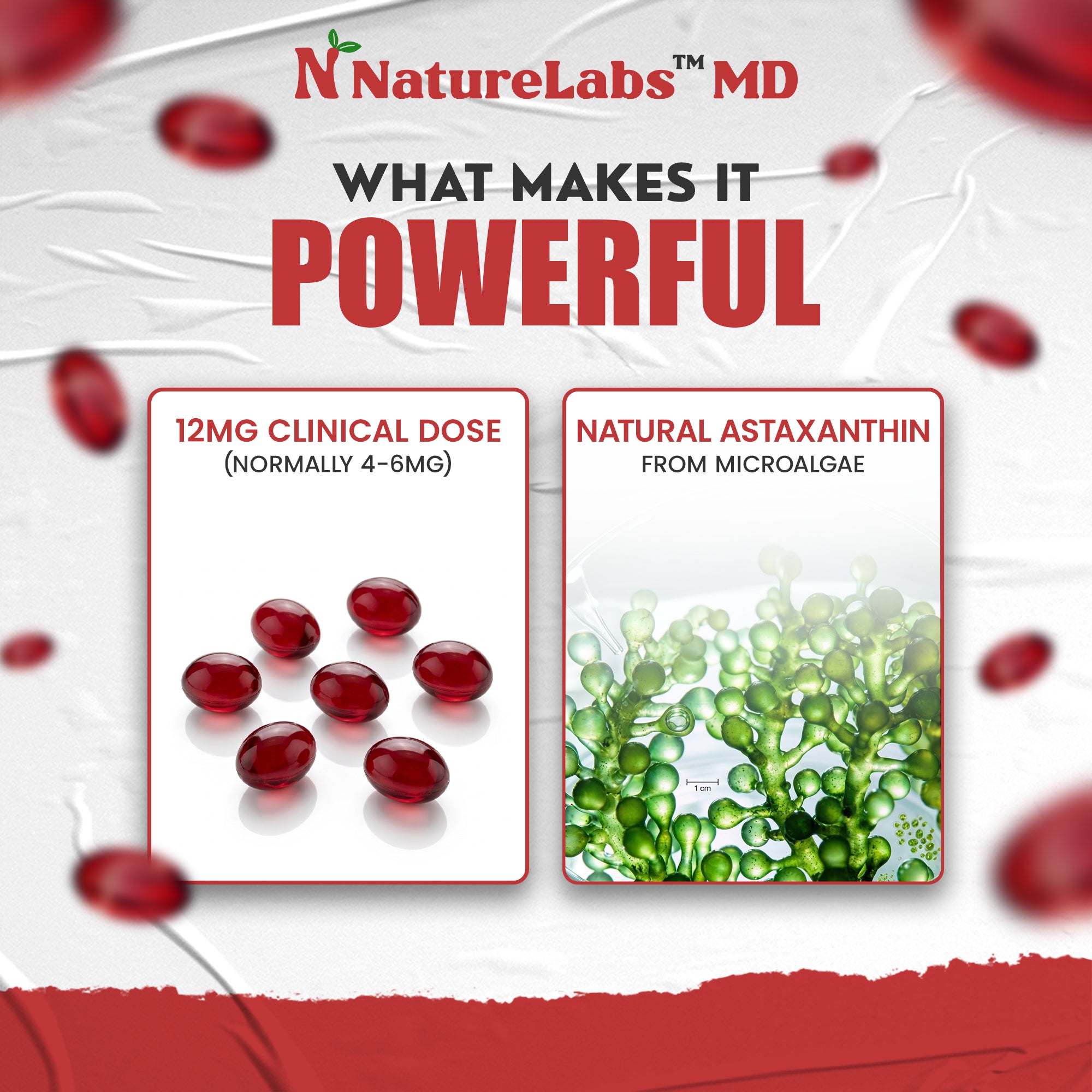 Most Powerful Antioxidant